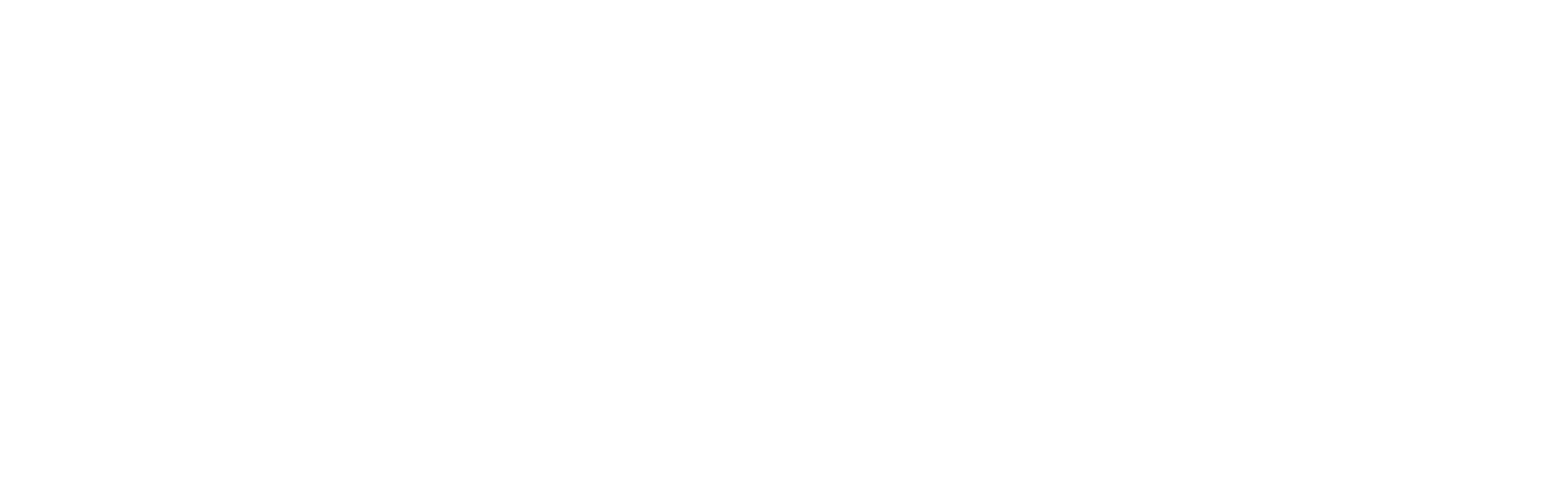 damirchi main logo